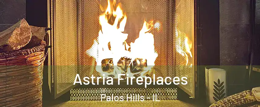  Astria Fireplaces Palos Hills - IL