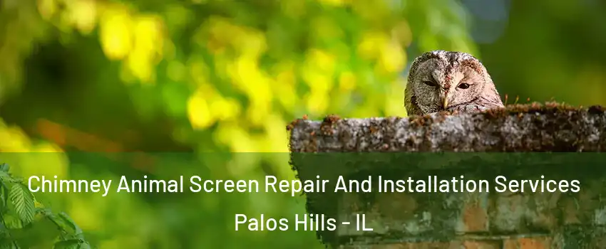  Chimney Animal Screen Repair And Installation Services Palos Hills - IL