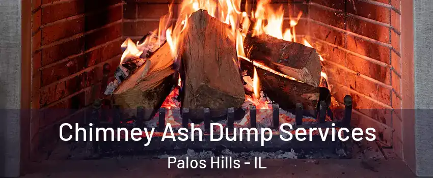  Chimney Ash Dump Services Palos Hills - IL