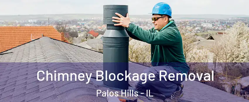 Chimney Blockage Removal Palos Hills - IL