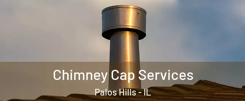  Chimney Cap Services Palos Hills - IL