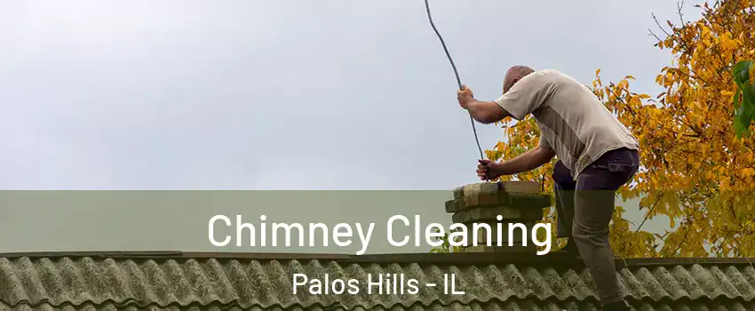  Chimney Cleaning Palos Hills - IL