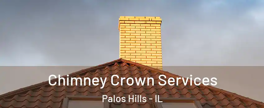  Chimney Crown Services Palos Hills - IL