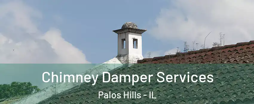  Chimney Damper Services Palos Hills - IL