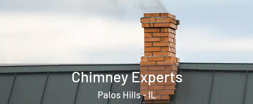  Chimney Experts Palos Hills - IL