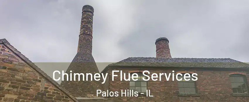  Chimney Flue Services Palos Hills - IL