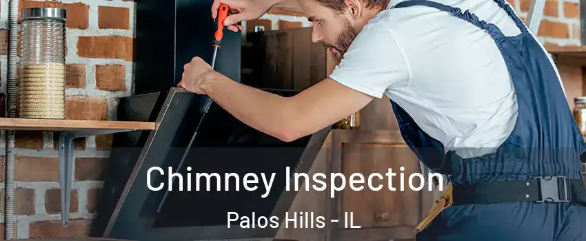  Chimney Inspection Palos Hills - IL
