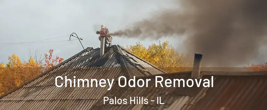  Chimney Odor Removal Palos Hills - IL