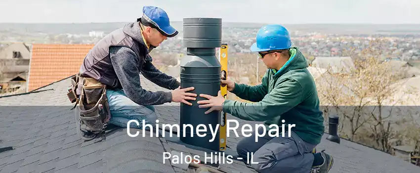  Chimney Repair Palos Hills - IL
