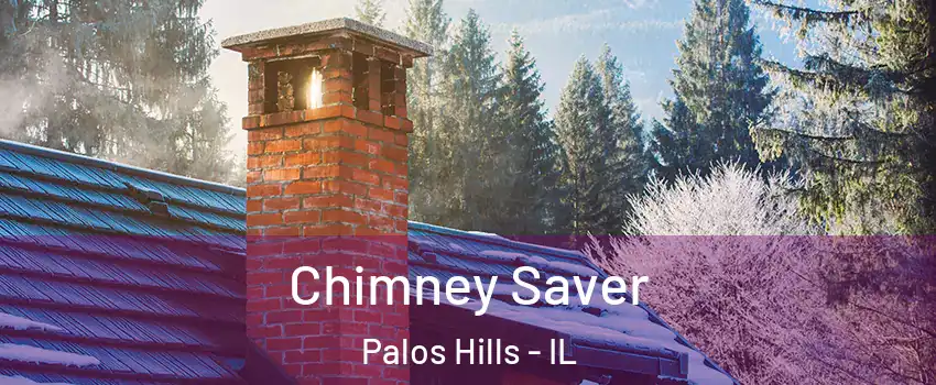  Chimney Saver Palos Hills - IL