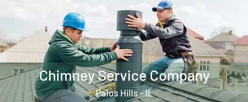  Chimney Service Company Palos Hills - IL