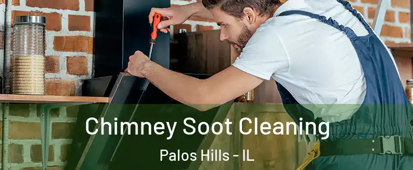  Chimney Soot Cleaning Palos Hills - IL