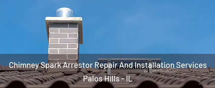  Chimney Spark Arrestor Repair And Installation Services Palos Hills - IL