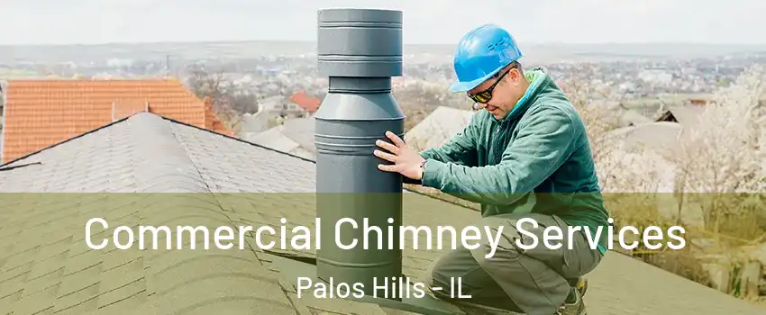  Commercial Chimney Services Palos Hills - IL