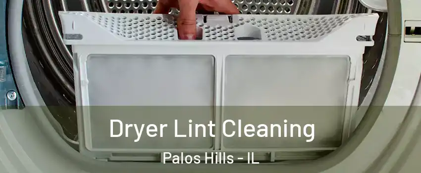  Dryer Lint Cleaning Palos Hills - IL