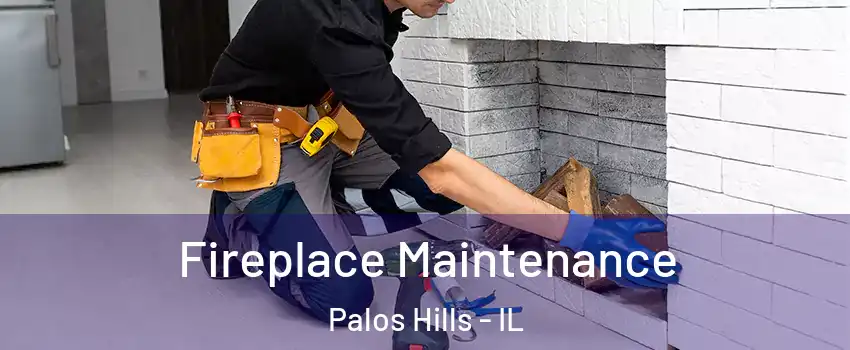  Fireplace Maintenance Palos Hills - IL