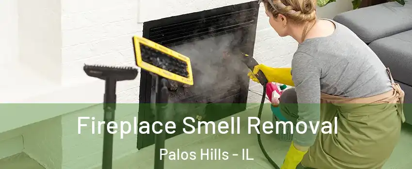  Fireplace Smell Removal Palos Hills - IL