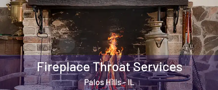  Fireplace Throat Services Palos Hills - IL