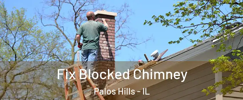  Fix Blocked Chimney Palos Hills - IL