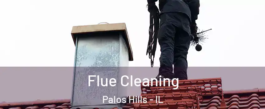 Flue Cleaning Palos Hills - IL