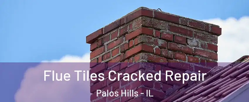  Flue Tiles Cracked Repair Palos Hills - IL