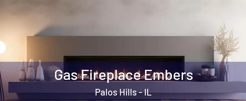  Gas Fireplace Embers Palos Hills - IL