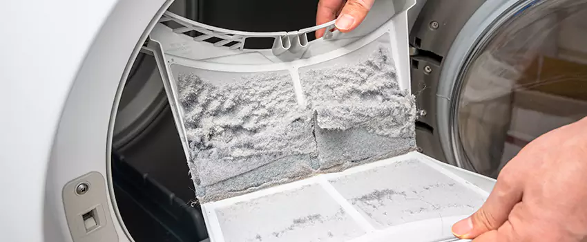 Best Dryer Lint Removal Company in Palos Hills, Illinois