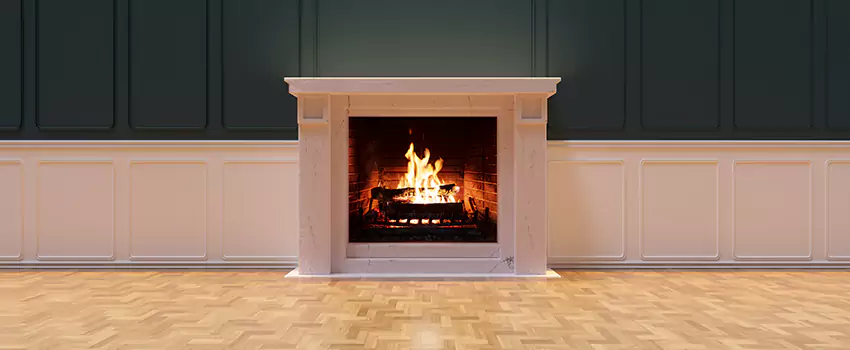 Napoleon Electric Fireplaces Inspection Service in Palos Hills, Illinois