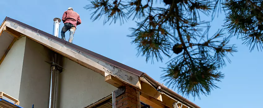 Prefab Chimney Flue Installation in Palos Hills, IL