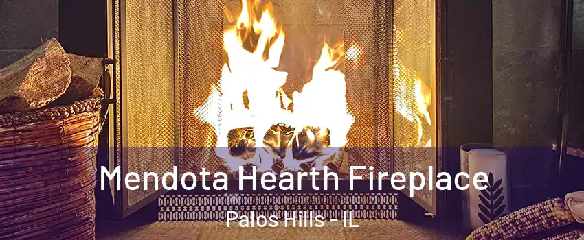  Mendota Hearth Fireplace Palos Hills - IL