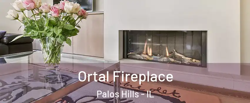  Ortal Fireplace Palos Hills - IL