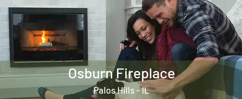  Osburn Fireplace Palos Hills - IL