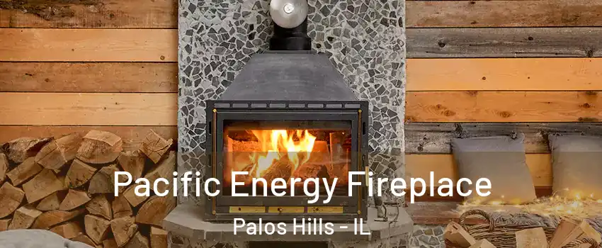  Pacific Energy Fireplace Palos Hills - IL