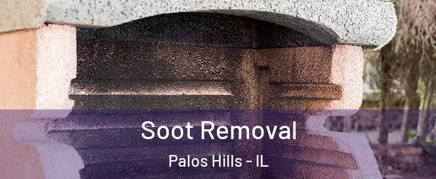  Soot Removal Palos Hills - IL